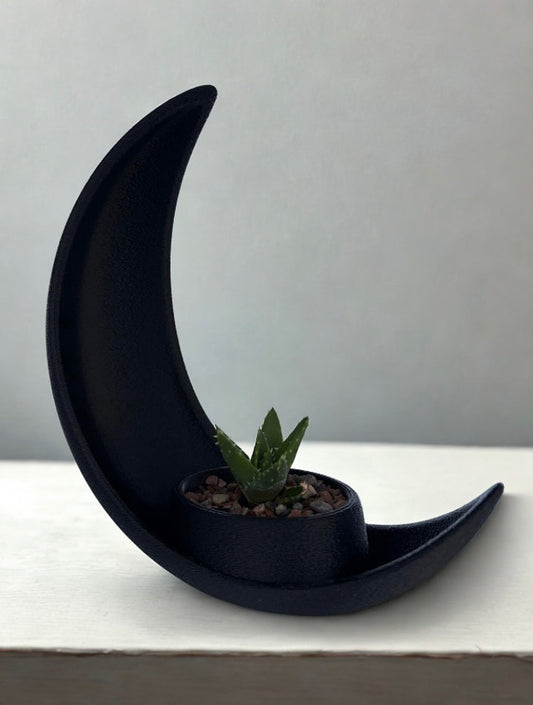 Crescent Moon Planter 2