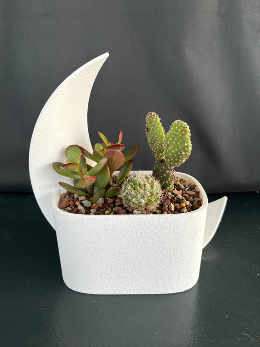 Crescent Moon Planter