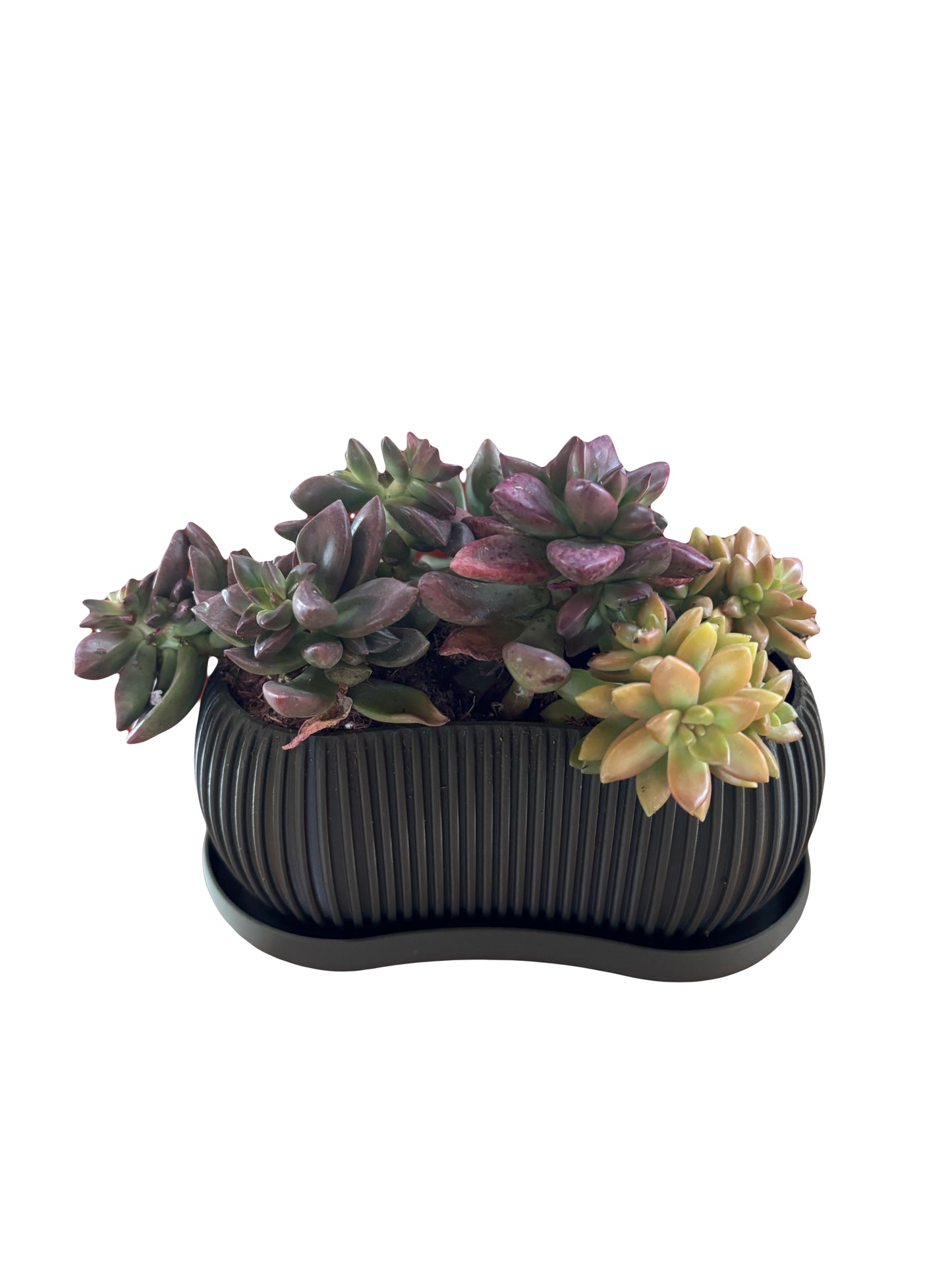 The Terra Planter
