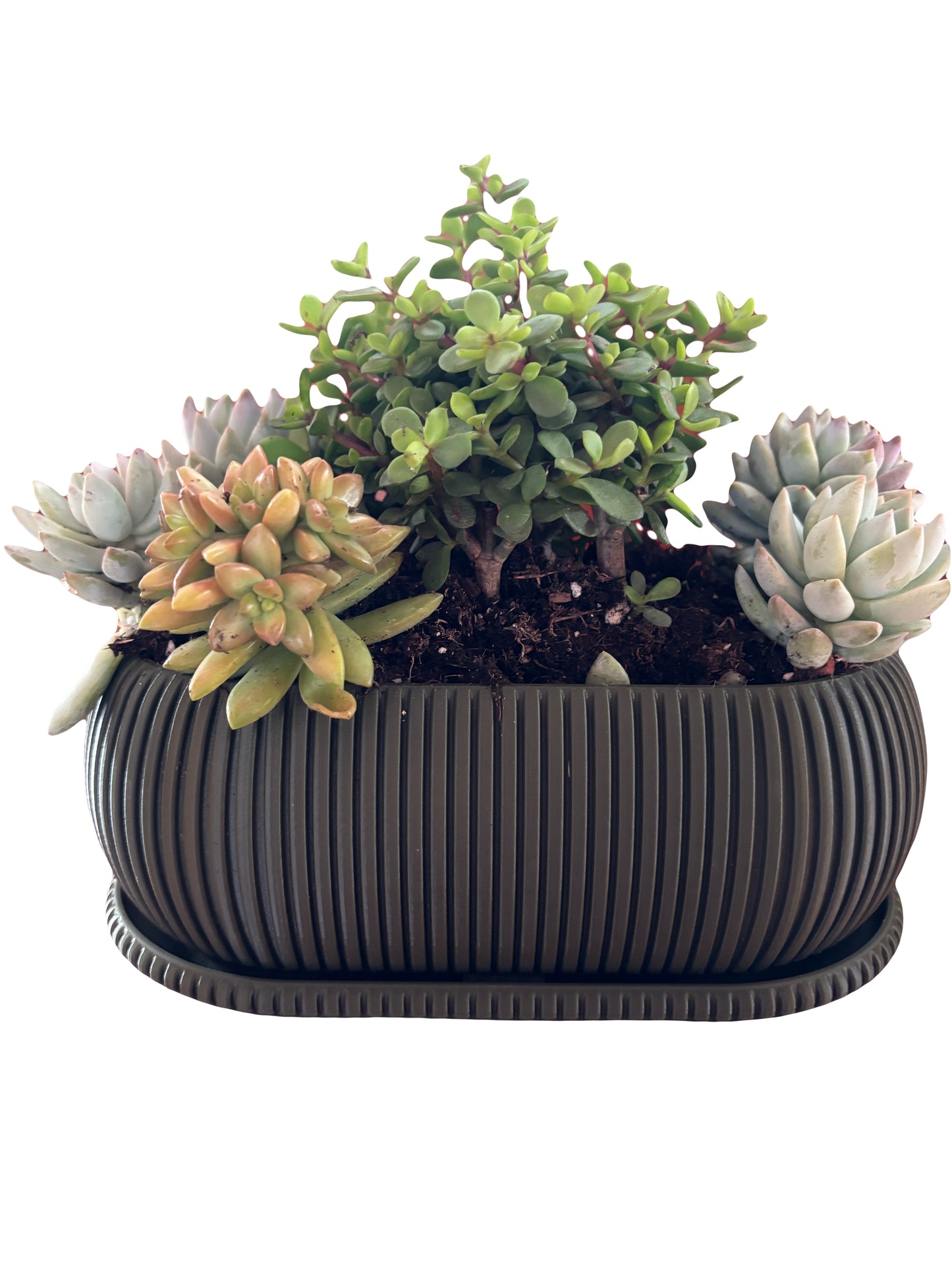 The Zephyr Planter