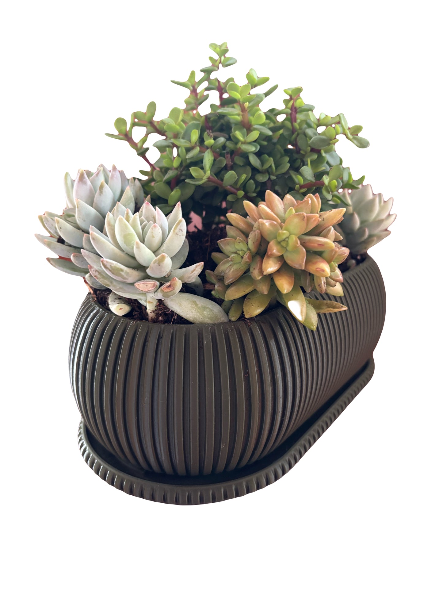 The Zephyr Planter