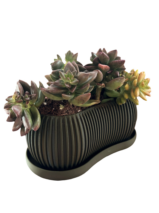 The Terra Planter