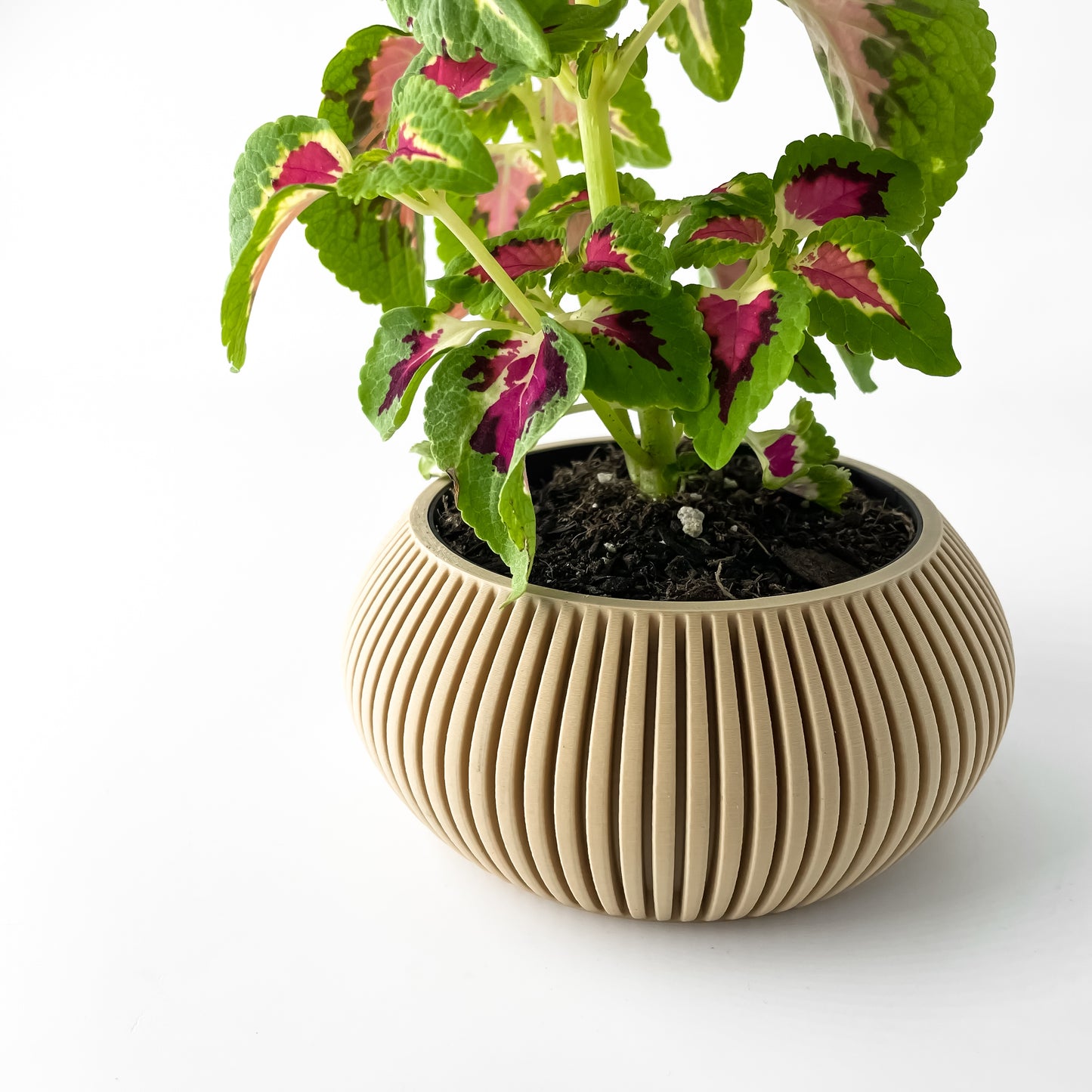 Torme Planter