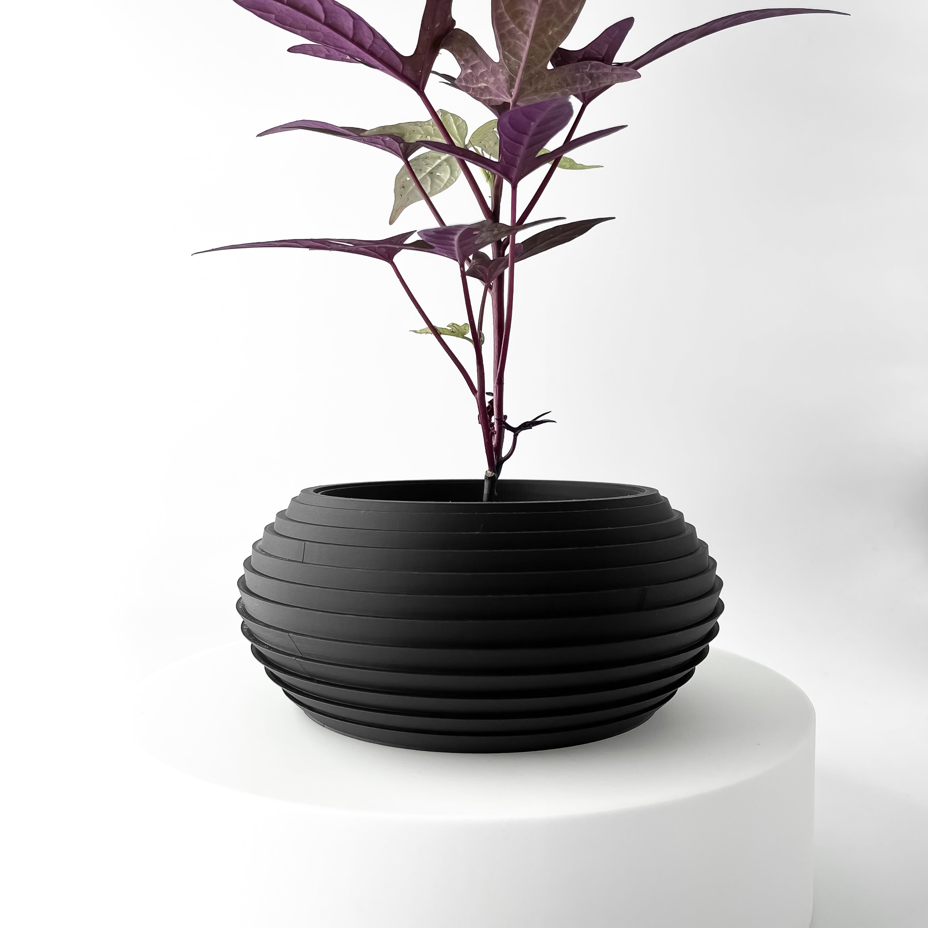 Frons Frons Planter – Downriver 3D