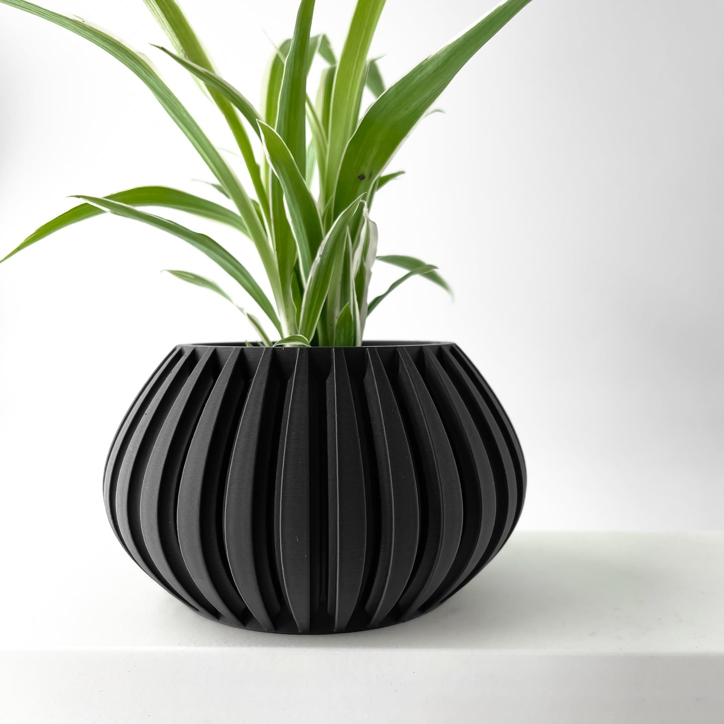 The Ora Planter