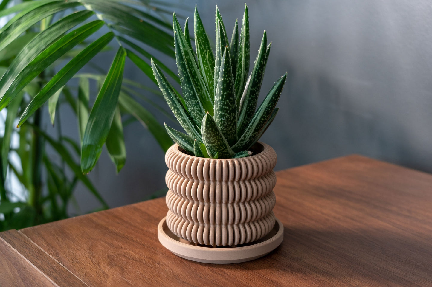 The Clifton succulent planter