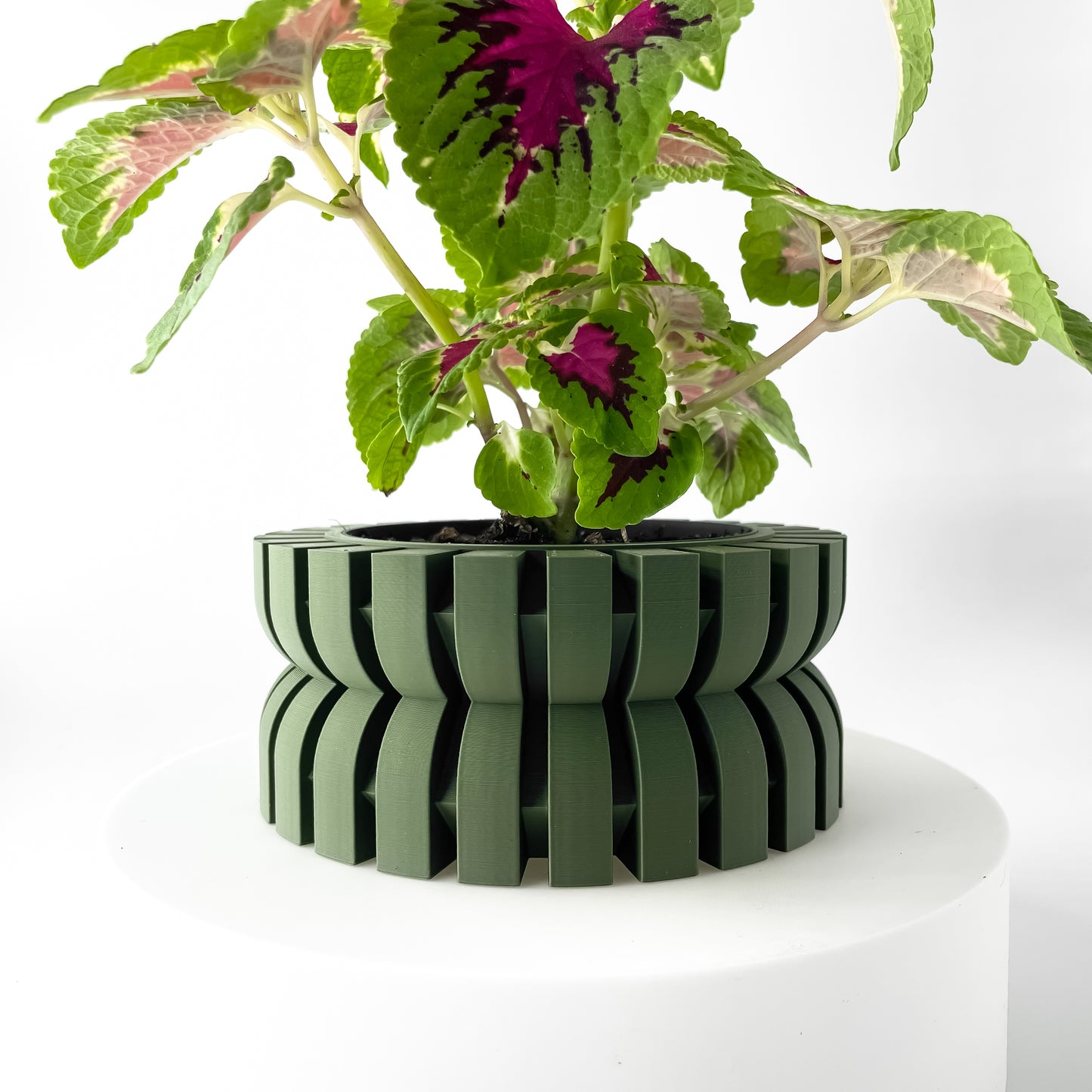 Griva Planter