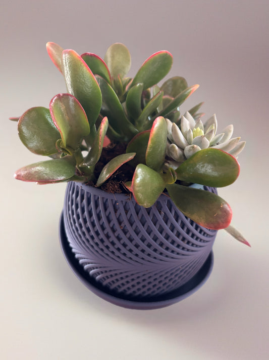 The KInetic Planter
