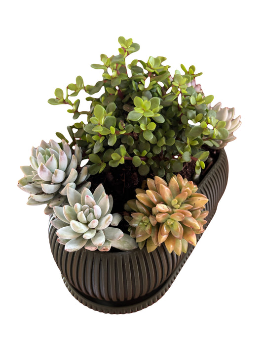 The Zephyr Planter